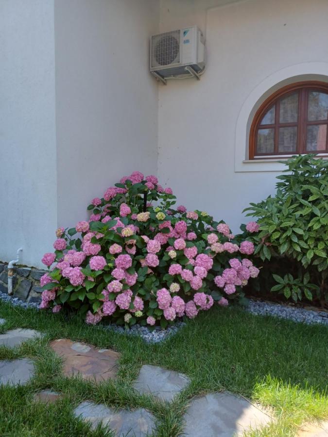 The Pearl Of Balaton Willa *